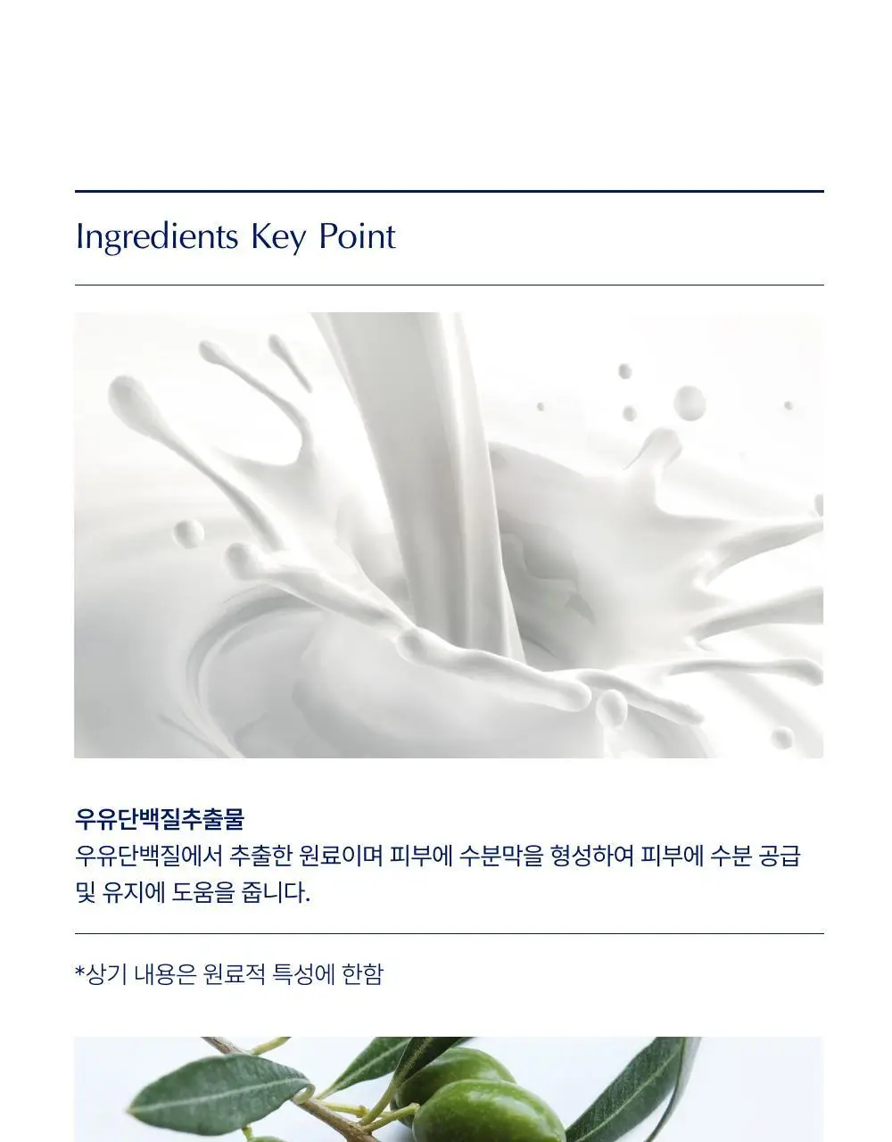 [대용량] 바이오가 모이스춰 바디워시 앤 헤어 스쿠알란 1000ml 상세페이지 9